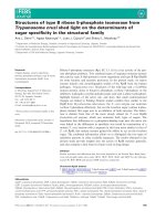 Báo cáo khoa học: Structures of type B ribose 5-phosphate isomerase from Trypanosoma cruzi shed light on the determinants of sugar speciﬁcity in the structural family ppt