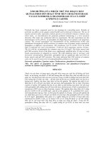 ẢNH HƯỞNG CỦA THUỐC TRỪ SÂU HOẠT CHẤT QUINALPHOS ĐẾN HOẠT TÍNH MEN CHOLINESTERASE VÀ GLUTATHIONE-S-TRANSFERASE CỦA CÁ CHÉP (CYPRINUS CARPIO) ppt