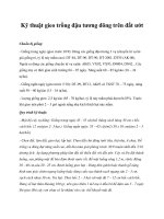 Kỹ thuật gieo trồng đậu tương đông trên đất ướt potx