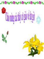 Cơ chế xác định giới tính 1