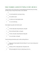 TRẮC NGHIỆM - KINH TẾ VĨ MÔ & VI MÔ - ĐỀ SỐ 11 pdf