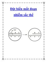 Đột biến mất đoạn nhiễm sắc thể ppt
