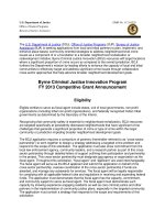 Byrne Criminal Justice Innovation Program FY 2013 Competitive Grant Announcement docx