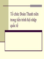 thanh niên việt nam với hội nhập quốc tế