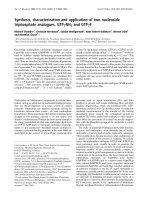 Báo cáo Y học: Synthesis, characterization and application of two nucleoside triphosphate analogues, GTPcNH2 and GTPcF pdf