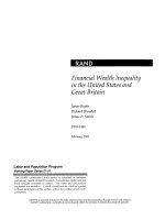 Financial Wealth Inequality In The United States And Great Britain doc