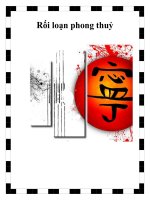 Rối loạn phong thuỷ ppt