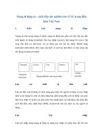 Mạng di động ảo - cách tiếp cận nghiên cứu về 3G trong điều kiện Việt Nam pptx