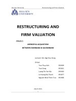 Merger and Acquisition between Eximbank and Sacombank