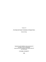 Cinema 3.0: How Digital and Computer Technologies are Changing Cinema pot
