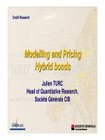 Modelling and Pricing Hybrid bonds: Julien TURC Head of Quantitative Research, Société Générale CIB ppt