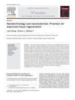 nanotechnology and nanomaterials promises for improved tissue regeneration