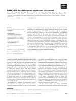 Báo cáo khoa học: NANOGP8 is a retrogene expressed in cancers pdf