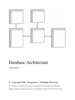Database Architecture pdf