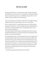 Sự tích con nhái potx