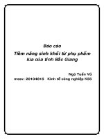 báo cáo tiềm năng sinh khối từ phụ phẩm lúa của tỉnh bắc giang