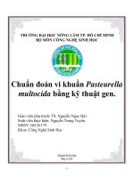 Tiểu luận:Chuẩn đoán vi khuẩn Pasteurella multocida bằng kỹ thuật gen pot