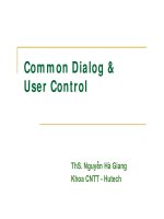 Common Dialog & User Control - ThS. Nguyễn Hà Giang ppt