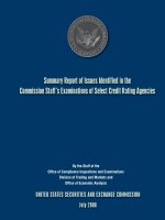 Summary Report of Issues Identified in the Commission Staff’s Examinations of Select Credit Rating Agencies potx