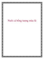 Nuôi cá bống tượng mùa lũ docx