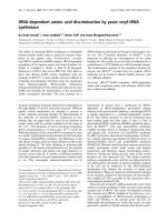 Báo cáo Y học: tRNA-dependent amino acid discrimination by yeast seryl-tRNA synthetase pdf
