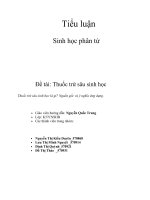 Đề tài: Thuốc trừ sâu sinh học pot