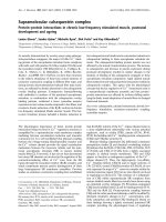 Báo cáo khoa học: Supramolecular calsequestrin complex Protein–protein interactions in chronic low-frequency stimulated muscle, postnatal development and ageing pot