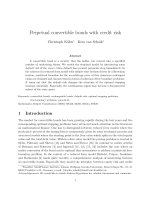 Perpetual convertible bonds with credit risk potx
