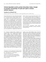 Báo cáo khoa học: Calcium-dependent protein–protein interactions induce changes in proximity relationships of Cys48 and Cys64 in chicken skeletal troponin I ppt