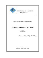 Giáo trình luật lao động ppt