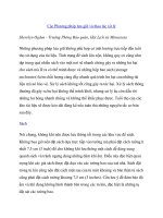 Các Phương pháp lưu giữ và thao tác xử lý Sherelyn Ogden - Trưởng Phòng Bảo quản, Hội Lịch sử Minnesota pdf