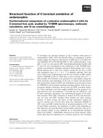 Báo cáo khoa học: Structural function of C-terminal amidation of endomorphin Conformational comparison ofl-selective endomorphin-2 with its C-terminal free acid, studied by 1 H-NMR spectroscopy, molecular calculation, and X-ray crystallography pot