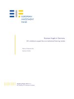 usiness Angels in Germany EIF’s initiative to support the non-institutional financing market doc