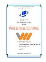 Tiểu luận: Phân tích chiến lược marketing chiêu thị của vietnamobile ppt