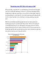 Marketing năm 2013 liệu có là mạng xã hội pdf