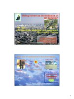 Using lichen as bioindicator of air pollution: Acid deposition Monitoring and Assessment Third country Training pptx