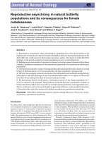 Blackwell Publishing Ltd Reproductive asynchrony in natural butterﬂy populations and its consequences for female matelessness ppt