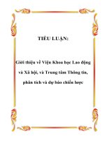 TIỂU LUẬN: Giới thiệu về Viện Khoa học Lao động và Xã hội, và Trung tâm Thông tin, phân tích và dự báo chiến lược potx