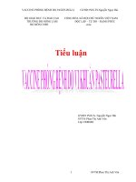 Tiểu luận:VACCINE PHÒNG BỆNH DO PASTEURELLA doc