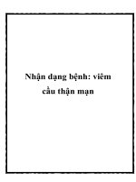 Nhận dạng bệnh: viêm cầu thận mạn ppt