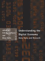 Understanding the Digital Economy pot