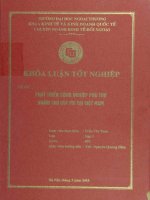 Phát triển công nghiệp phụ trợ nhằm thu hút FDI tại Việt Nam