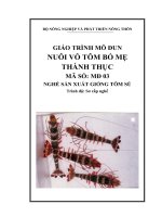 GT MÔ ĐUN 3 -   NUÔI VỖ TÔM BỐ MẸ THÀNH THỤC