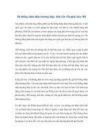 Hệ thống nhân diện thương hiệu: Khi cần vẫn phải thay đổi potx