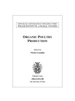 SEFYDLIAD ASTUDIAETHAU GWLEDIG CYMRU WELSH INSTITUTE of RURAL STUDIES : ORGANIC POULTRY PRODUCTION potx