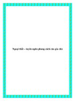 Ngoại thất – tuyên ngôn phong cách của gia chủ pdf