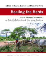 Healing the Herds Disease, Livestock Economies, and the Globalization of Veterinary Medicine docx