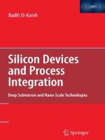 Silicon Devices and Process Integration pot