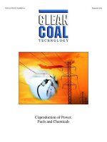 clean coal technology coproduction of power fuels and chemicals pdf