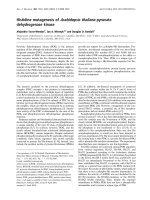 Báo cáo Y học: Histidine mutagenesis of Arabidopsis thaliana pyruvate dehydrogenase kinase ppt